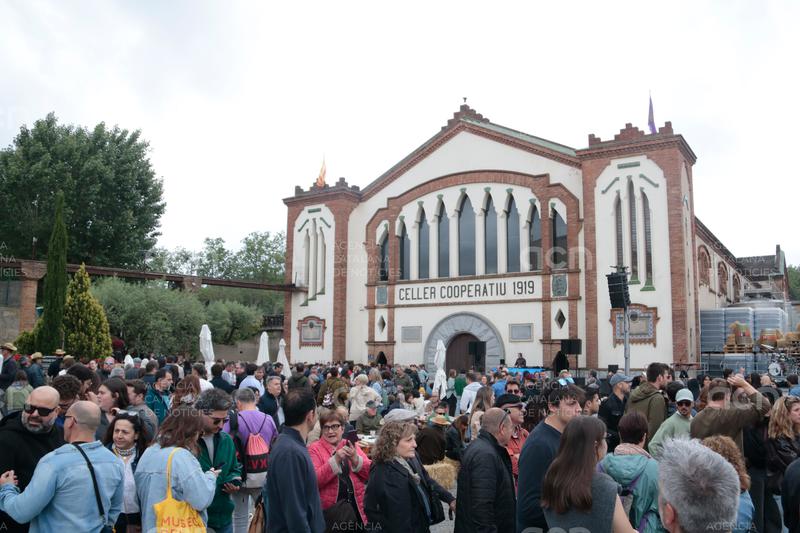 Unes 30.000 persones visiten la Fira del Vi de Falset, que serveix unes 56.000 degustacions de les dues DO de la comarca