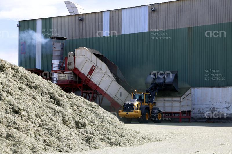 Les exportacions lleidatanes continuen en caiguda al març i reculen un 3,7% amb 233,4 MEUR