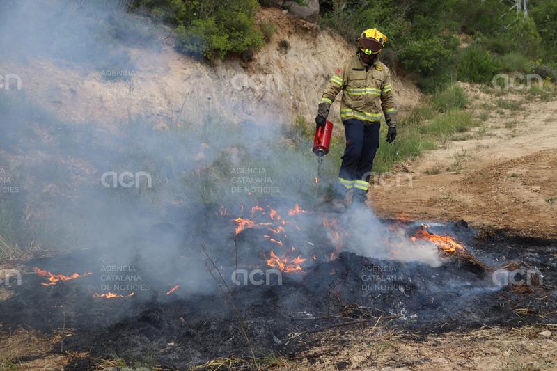 Els Bombers alerten que les pluges d'aquest hivern i primavera no garanteixen una campanya d'incendis "tranquil·la" 