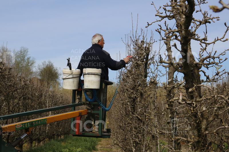 Agricultura activa 10 MEUR per garantir el relleu generacional agrari a Catalunya