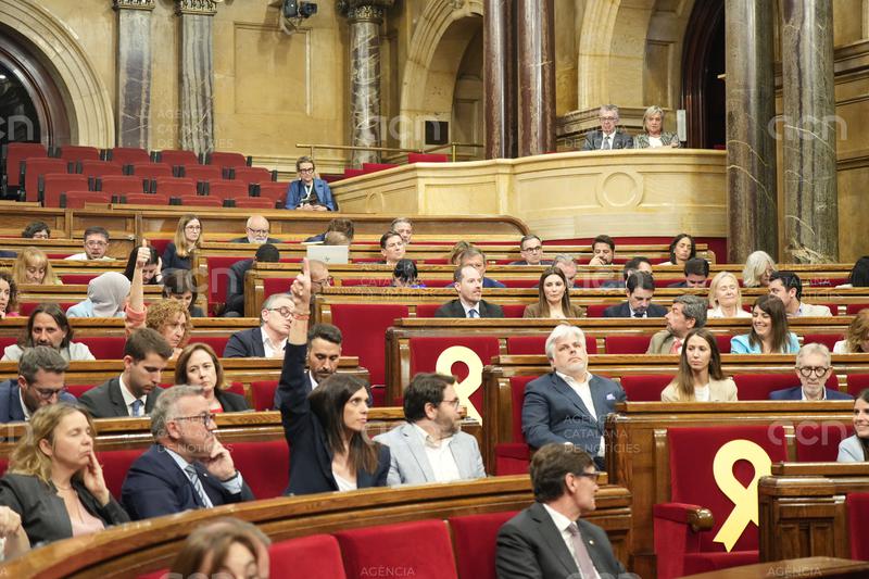El Parlament aprova tramitar per lectura única el reconeixement de l'IEC com a acadèmia nacional
