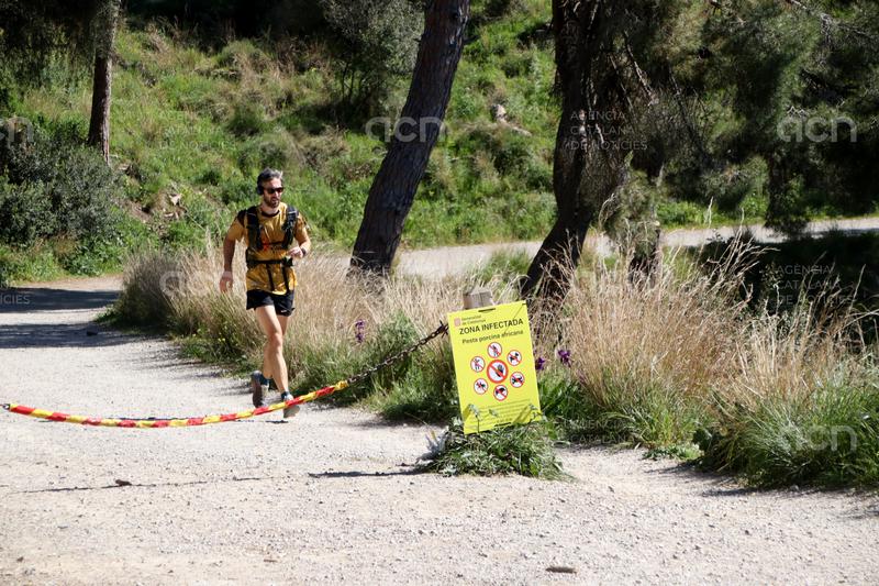 Batlle dona per fet que les restriccions a Collserola per la PPA es mantindran durant l'estiu