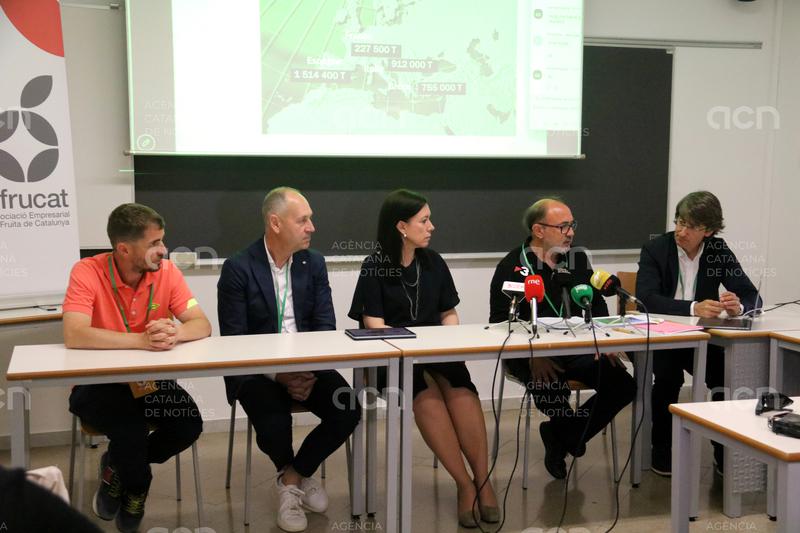 Catalunya preveu collir un 13,5% més de fruita de pinyol que l'any passat i recuperar part del seu potencial productiu