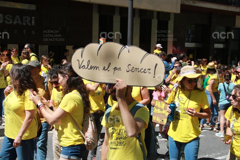 Educació xifra en un 26% el seguiment de la vaga al Camp de Tarragona i les Terres de l'Ebre