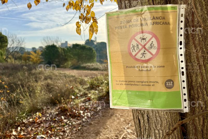 Agricultura es reunirà amb Sant Cugat per abordar la situació de la PPA sota els criteris de contenció del virus
