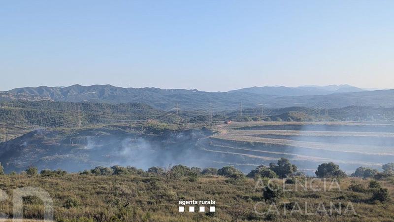 L'incendi de Vinebre afecta dotze hectàrees de matollar mediterrani, segons les primeres estimacions dels Agents Rurals