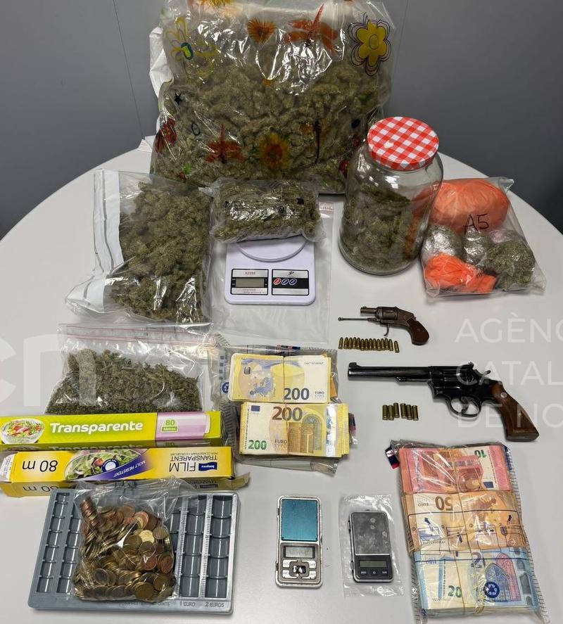 Detenen a Mollerussa quatre membres d’un clan familiar molt actiu i especialitzat en el cultiu i venda de marihuana