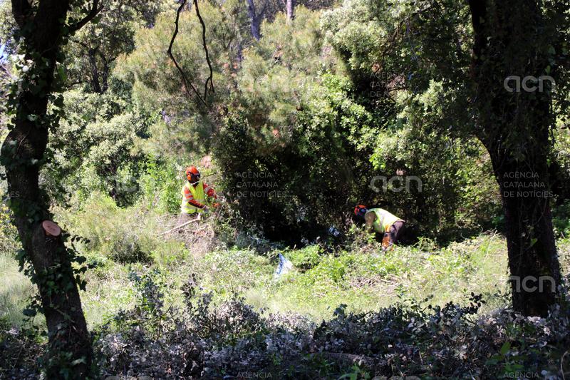Comencen els treballs al primer eix de confinament d'incendis a Girona, per reduir el risc de grans focs
