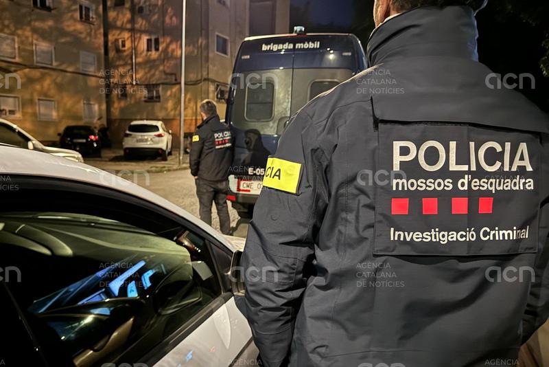 L'operatiu contra el tràfic de marihuana a poblacions gironines acaba amb 26 detinguts i onze plantacions desmantellades