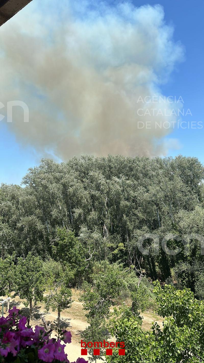 Els Agents Rurals investiguen les causes de l'incendi que dilluns va cremar 4 hectàrees al parc de la Mitjana de Lleida