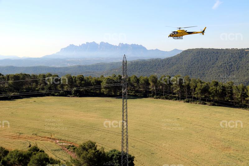 Endesa inverteix 38 MEUR en la protecció de les línies elèctriques en entorns forestals