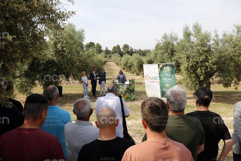 La DOP Les Garrigues flexibilitza el reglament per mirar d'atraure noves cooperatives i empreses