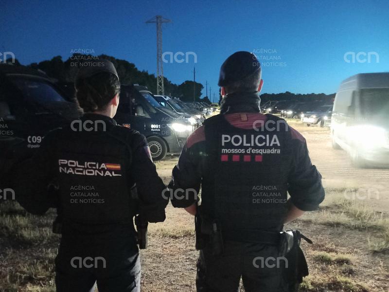 Catorze detinguts en el dispositiu contra una organització dedicada al cultiu i tràfic de marihuana a Cabra del Camp