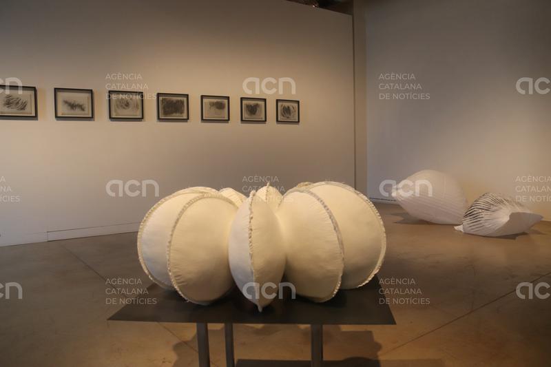 Anna Irina Russell connecta la respiració amb l'escultura viva en una exposició al museu Can Mario de Palafrugell