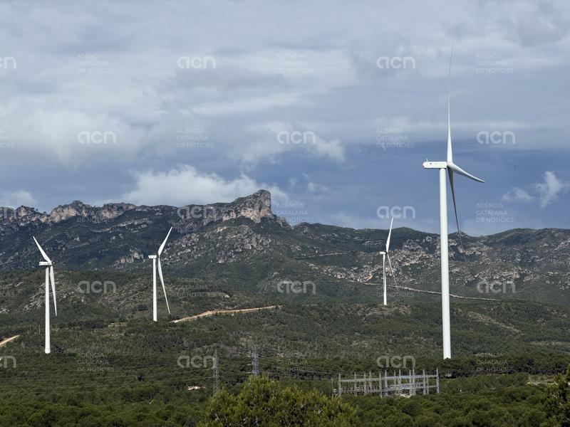 Els alcaldes del Baix Ebre rebutgen els objectius del PLATER i reclamen "un repartiment equilibrat" de les renovables