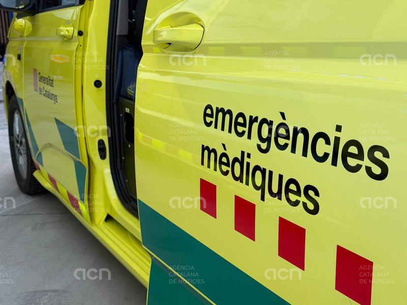 Un senglar entra en una residència de gent gran de Balaguer i fereix una treballadora