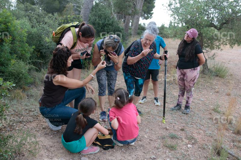 Els paisatges emocionals de Miró, Picasso, Gaudí i Casals inspiren un cap de setmana cultural amb més de 400 persones