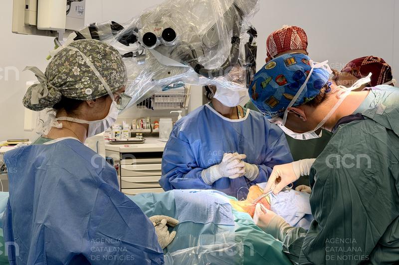Can Ruti investiga si l'acceleració del drenatge limfàtic pot frenar els símptomes de l'Alzheimer