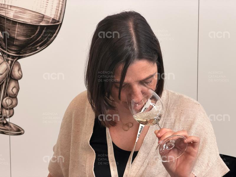 La Guia de Vins de Catalunya engega nova etapa i s'obre al gran públic amb una puntuació popular feta per  "winelovers"