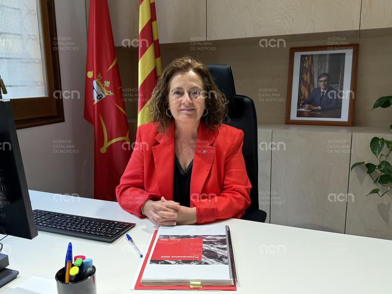 La delegació del Govern a l'Alt Pirineu treballa "intensament" amb el CTTI per acabar amb els punts negres de cobertura