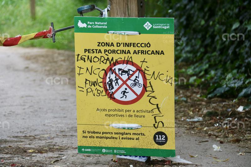 El Govern mantindrà les restriccions per la PPA a Collserola "almenys fins a finals d'estiu"