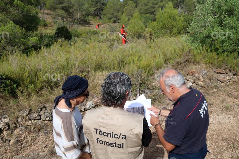 Agricultura inicia els treballs per habilitar un eix de confinament d'incendis forestals entre Rasquera i el Perelló