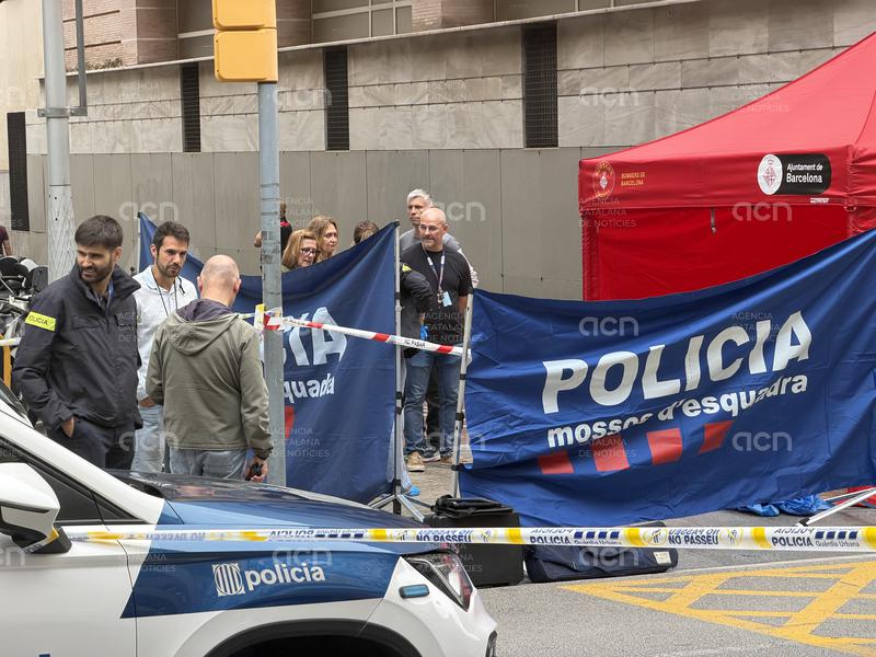 Tretze detinguts i quinze denunciats en una macrobatuda policial a Barcelona contra les armes de foc
