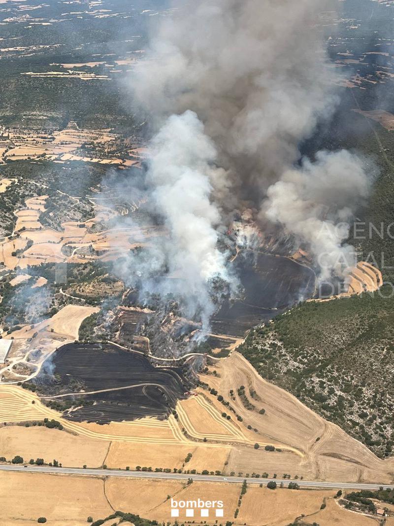 Els Bombers estabilitzen l'incendi de vegetació agrícola i forestal a Sanaüja, a la Segarra