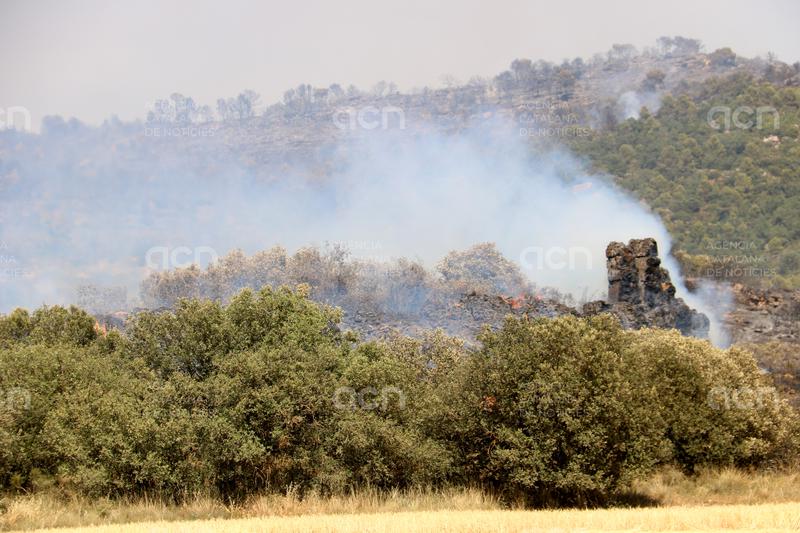 Els Bombers treballaran tota la nit a l'incendi estabilitzat de vegetació agrícola i forestal a Sanaüja, a la Segarra