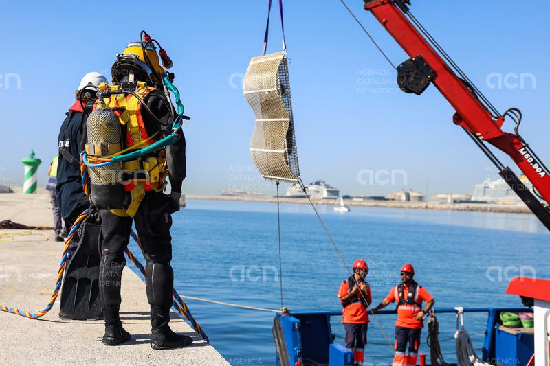 El port de Barcelona instal·la estructures submarines per afavorir la biodiversitat marina