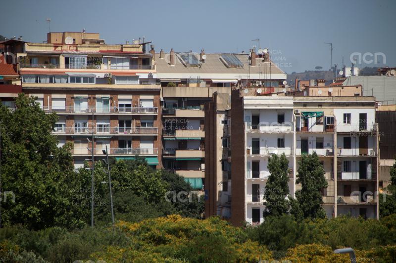 Barcelona avaluarà diverses propostes per revestir cobertes i reduir així l'escalfament d'edificis i la calor urbana