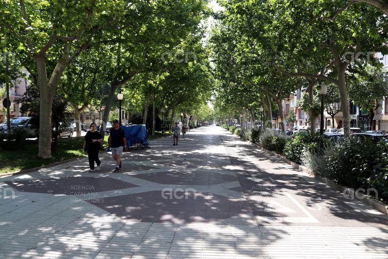Igualada començarà al setembre la primera fase d'obres del Passeig Verdaguer amb un pressupost d'1,6 MEUR