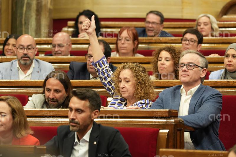 El Parlament valida el decret llei per simplificar i adaptar l’urbanisme als municipis rurals