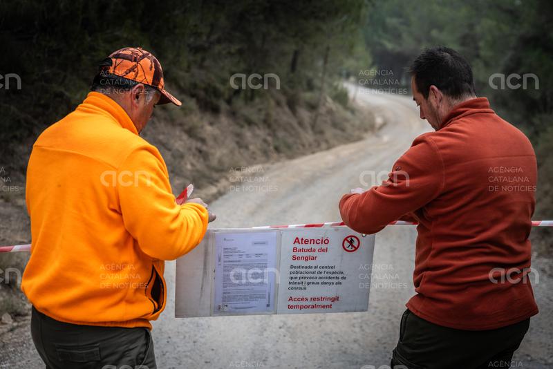El comitè científic del govern espanyol avisa que les mesures contra la PPA no s'apliquen amb la "intensitat desitjable"