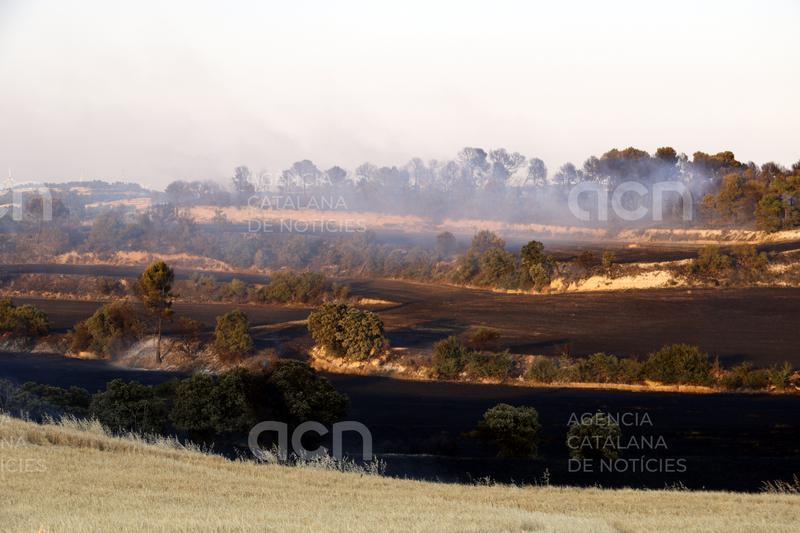 Els Bombers donen per controlats o extingits la desena d'incendis declarats els darrers dies a Ponent