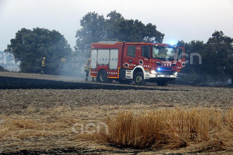 Diumenge amb perill molt alt d'incendi forestal a 161 municipis de Ponent, Catalunya Central i Terres de l'Ebre