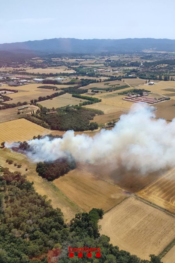 Controlat l'incendi de Forallac, al Baix Empordà, que ha cremat unes 11 hectàrees de terreny agrícola