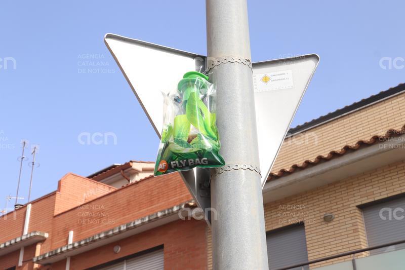 Una plaga de mosques omple el municipi d'Hostalric i obliga empreses a tancar uns dies