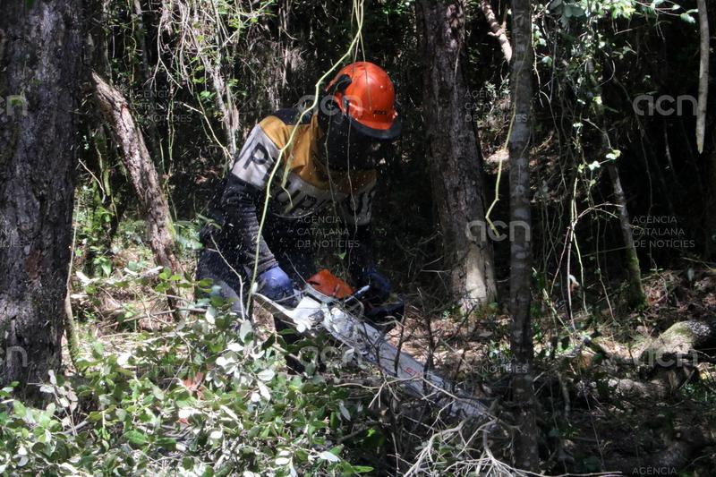 Desbrossades estratègiques i pastures: el pla pioner contra incendis de la Muga comença a caminar