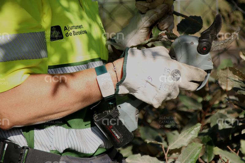 Modificació horària i polseres per prevenir cops de calor: les mesures per al personal de Parcs i Jardins de Barcelona