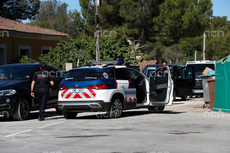 Desarticulat un grup criminal especialitzat en el cultiu de marihuana a Cabra del Camp 