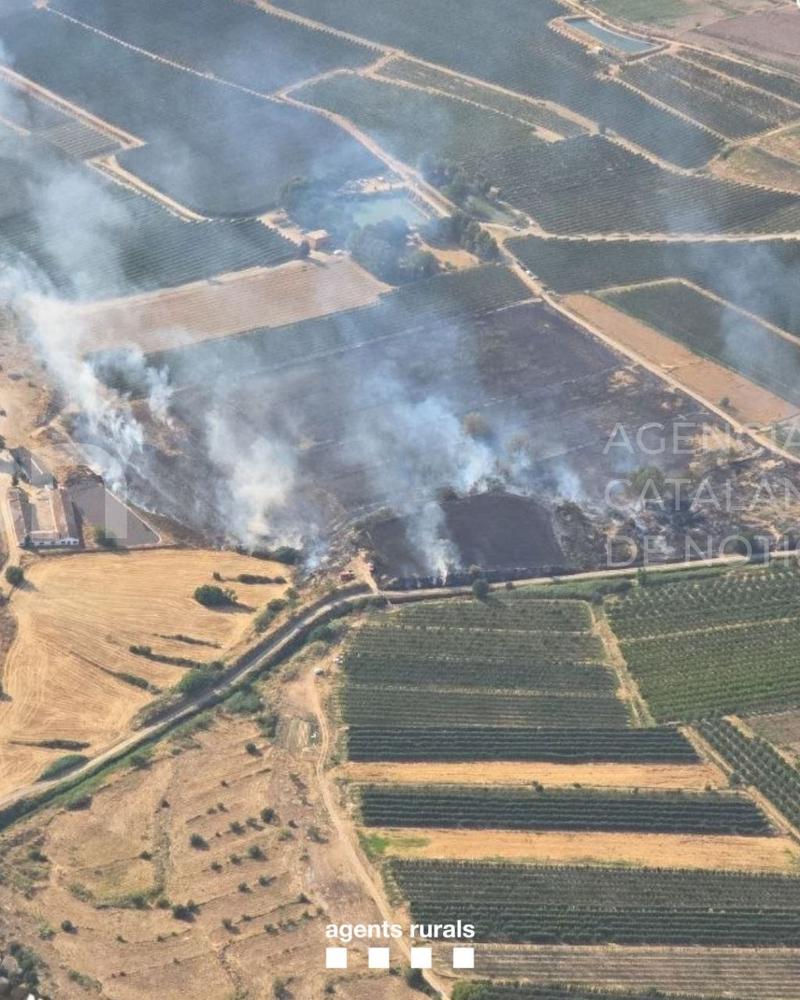 L'Ajuntament d'Artesa de Lleida condemna els incendis "provocats a causa d'actes incívics" durant la revetlla