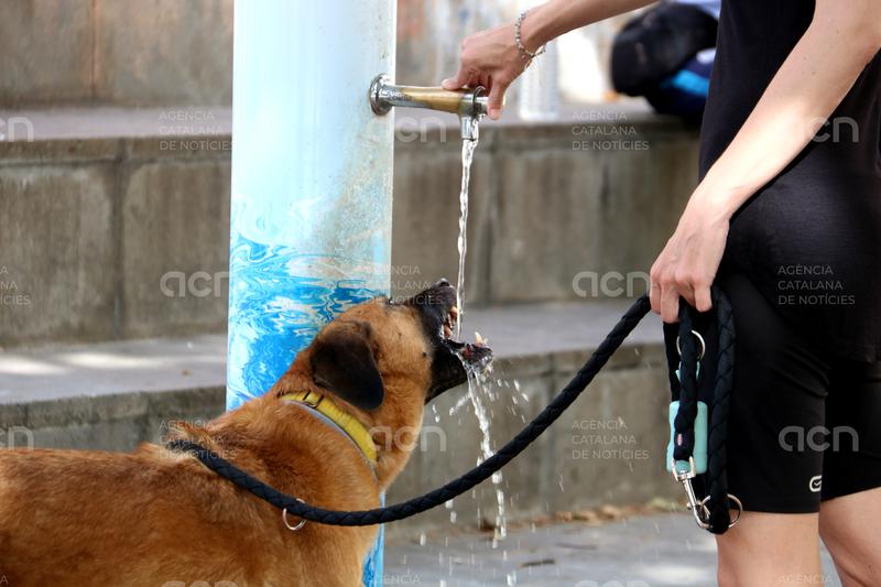 El SEM ha atès 208 persones durant l'onada de calor que ha acabat aquest dimecres