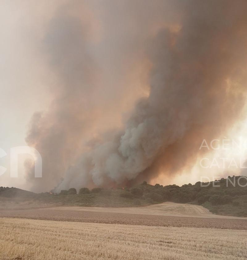 El foc de Tamarit, a la franja de Ponent, ha cremat 1.000 hectàrees dins d'un perímetre de 4.000