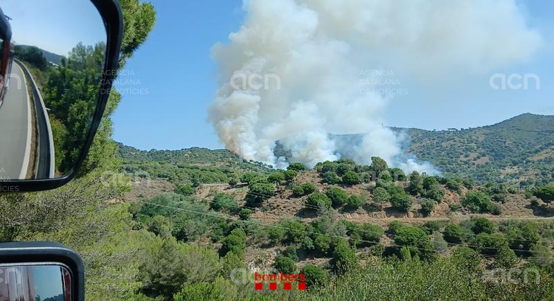 Els Bombers donen per controlat l'incendi de vegetació forestal iniciat a Tiana, amb 48 hectàrees afectades