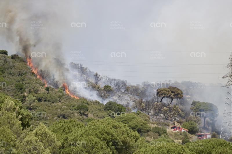 L’Ajuntament de Tiana es personarà en el procediment judicial contra el detingut per l’incendi al municipi