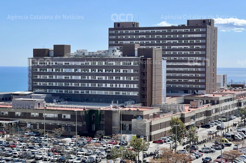 El ple de Badalona dona llum verda a la modificació del PGM per ampliar el campus de Can Ruti
