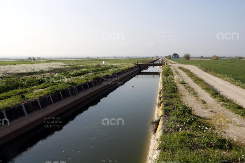 Manifest del Gran Canal expressa "desacord" amb les sentències que absolen el canal d'Urgell per la gestió de la sequera
