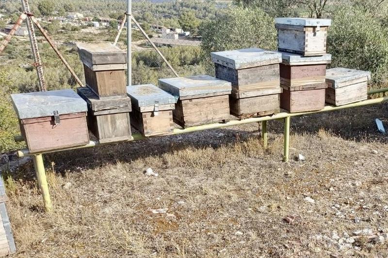 Els Mossos investiguen un home pel robatori d'un centenar de ruscs d'abelles en explotacions del Garraf i l'Alt Penedès