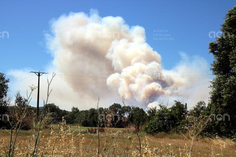 El Govern demana informació a l'empresa de l'operari detingut pel foc de la Bisbal per si s'ha incomplert la normativa
